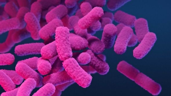 Davno zaboravljeni antibiotik sad bi mogao biti ključan u borbi protiv superbakterija