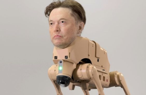 Tehnologija susreće prirodu: Robotski pas s maskom Ilona Maska prošetao među pravim ljubimcima u San Francisku