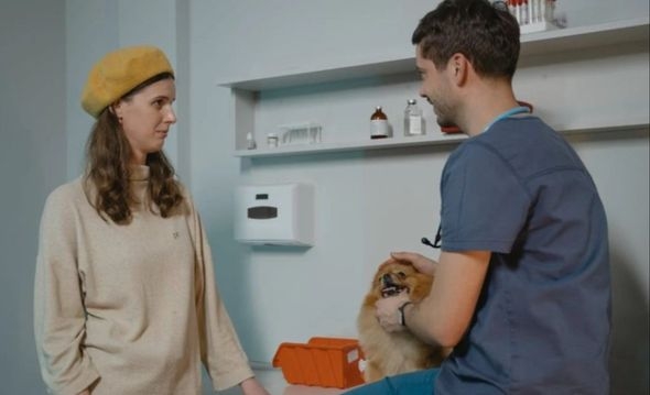 Evo zašto je sterilizacija vrlo važna za pse i za mačke