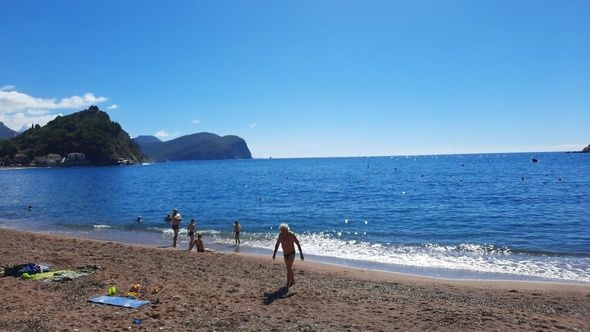 Misteriozno stvorenje se pojavilo na jednoj plaži u Budvi: "Nemojte ih dodirivati golim rukama, otrovni su"