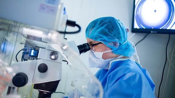 Otkriveno kako nastaju identični blizanci: Naučnici uzgajali sintetičke strukture embriona