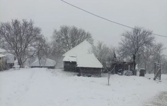 Snijeg zabijelio Srbiju: Temperatura pala na nula stepeni, pogledajte zimsku aprilsku idilu