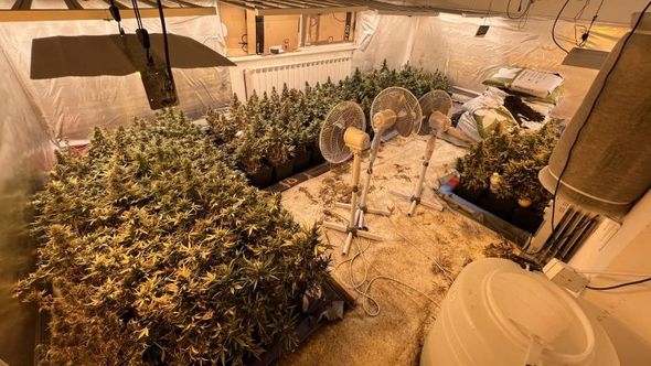 Akcija "Eradicatio": Pronađene dvije laboratorije za uzgoj marihuane