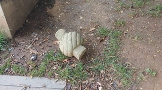 Toppled stone markers in Sarajevo's Great Park