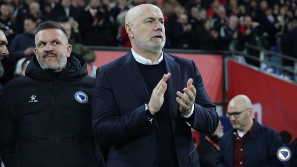 BiH u Velsu nije blistala, ali je pokazala ono što dugo nije imala