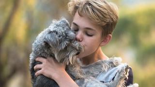 Nova studija: Suprotno ustaljenom mišljenju psi nisu oduševljeni zagrljajima 