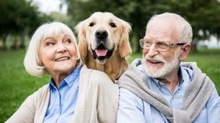 Ljubimci pomažu starijoj populaciji: Evo i kako