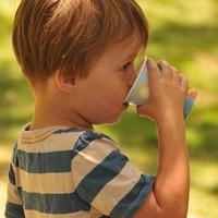 Važnost hidratacije u djetinjstvu: Nedovoljan unos izaziva kognitivne probleme