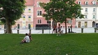 Sunčan dan izmamio građane i turiste na ulice Ljubljane